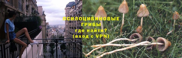 дурь Верея