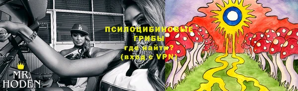 дурь Верея